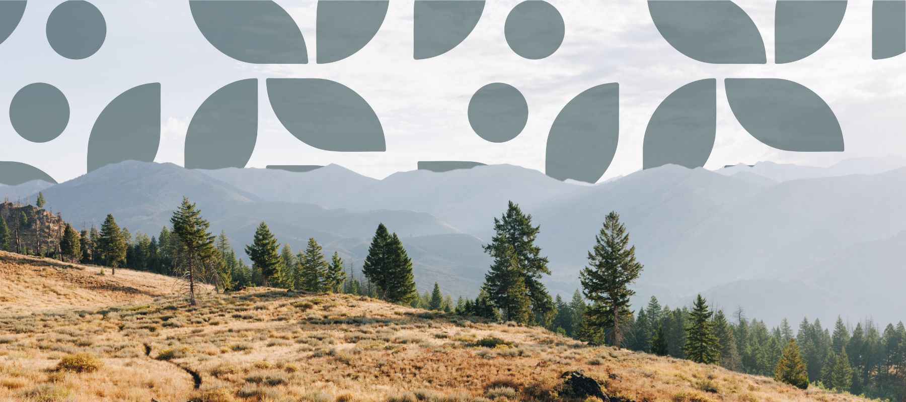 A scenic view of mountains and trees with a patterned overlay