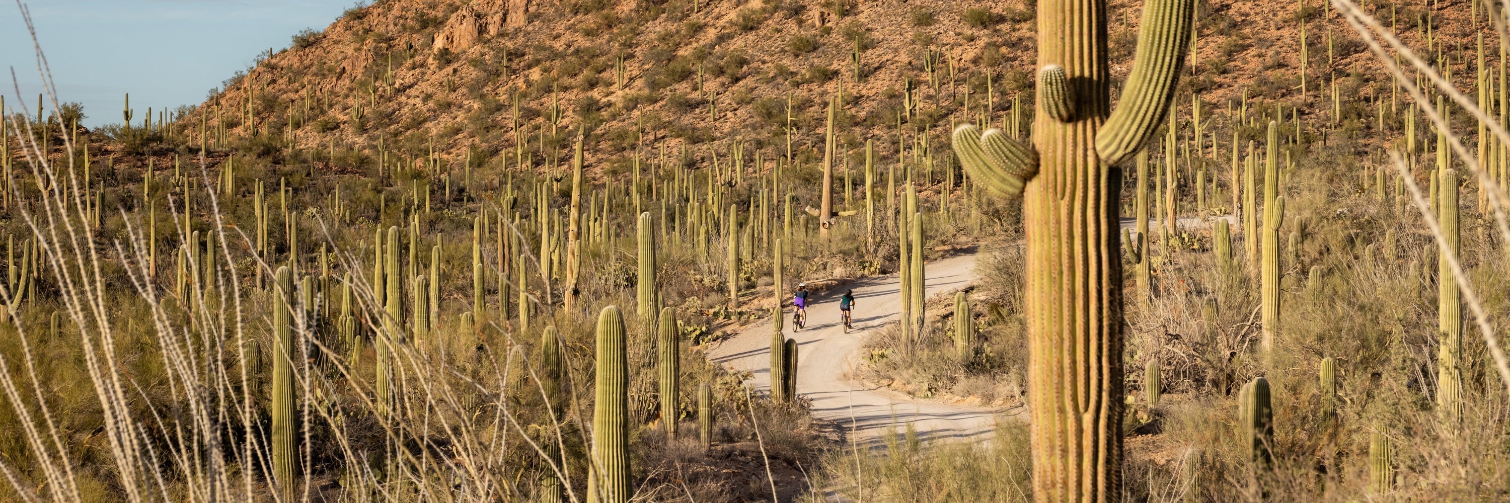 Person wearing a helmet standing with a mountain bike on a dirt trail under clear sky