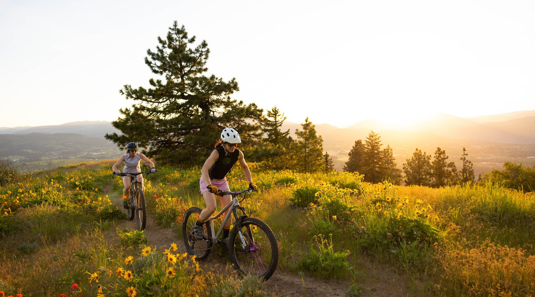Two people mountain biking on a trail surrounded by wildflowers and trees at sunset.