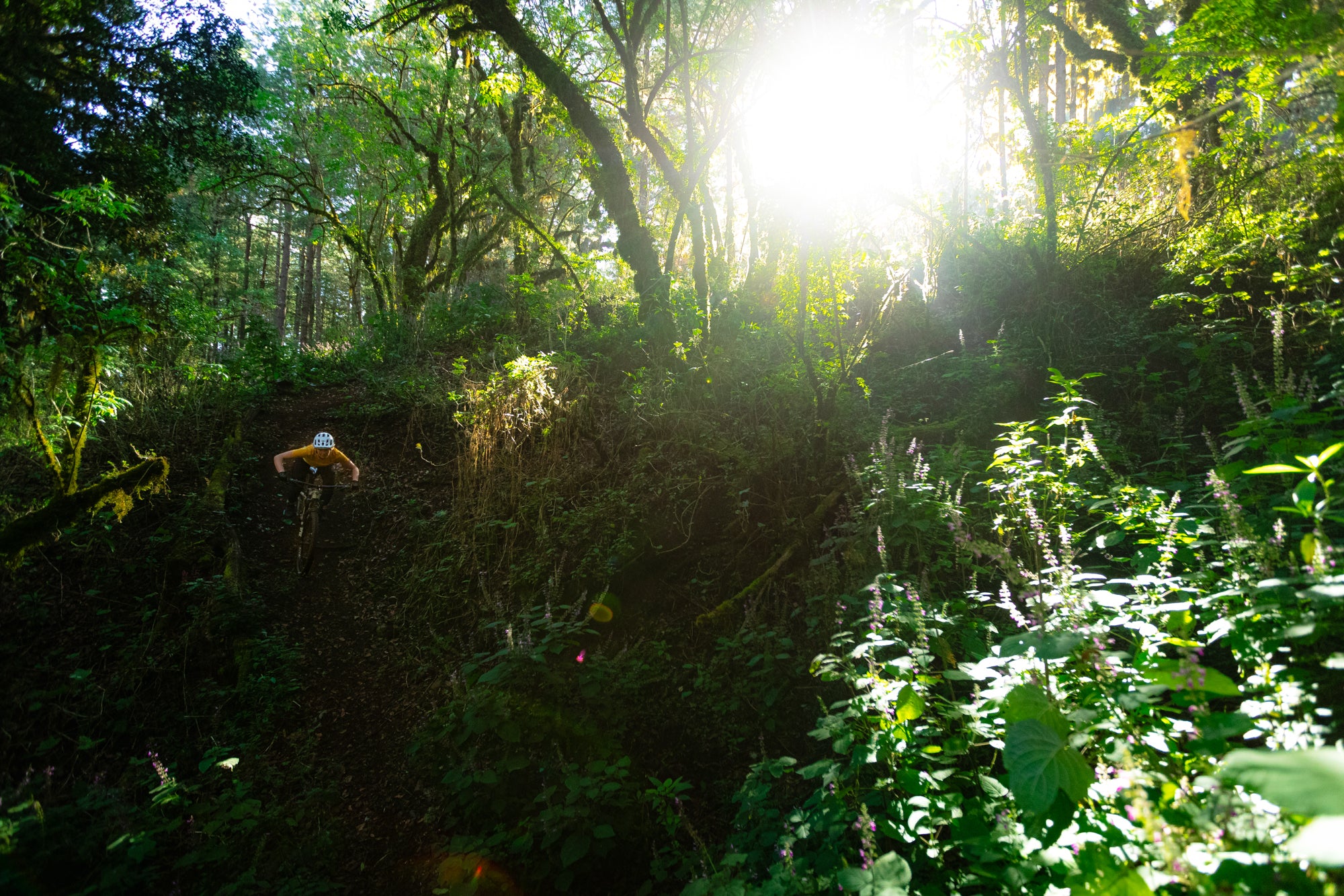 Mountain biking in Oaxaca