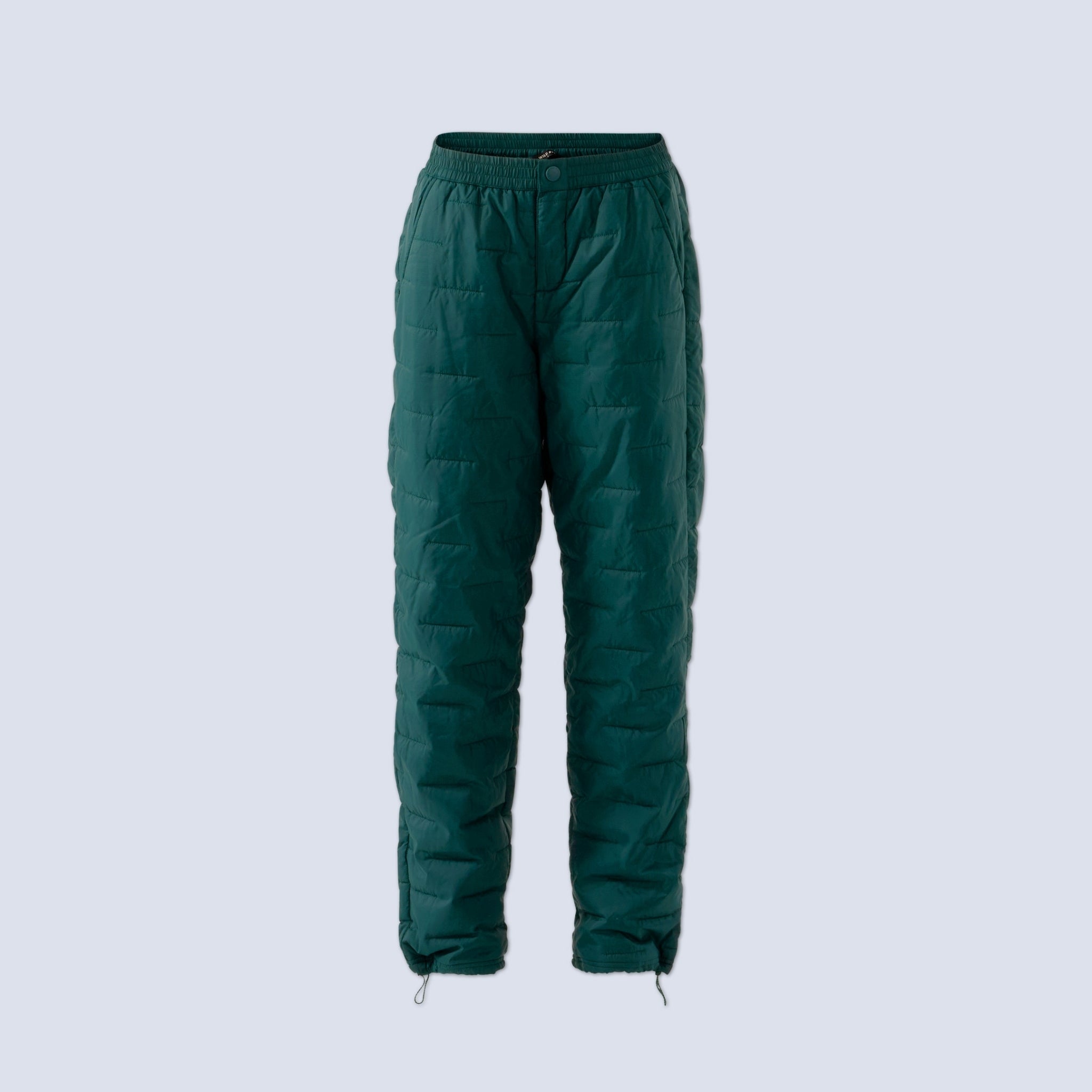 [Shaded Spruce] Payette Insulated Pant in shaded spruce green, flatlay